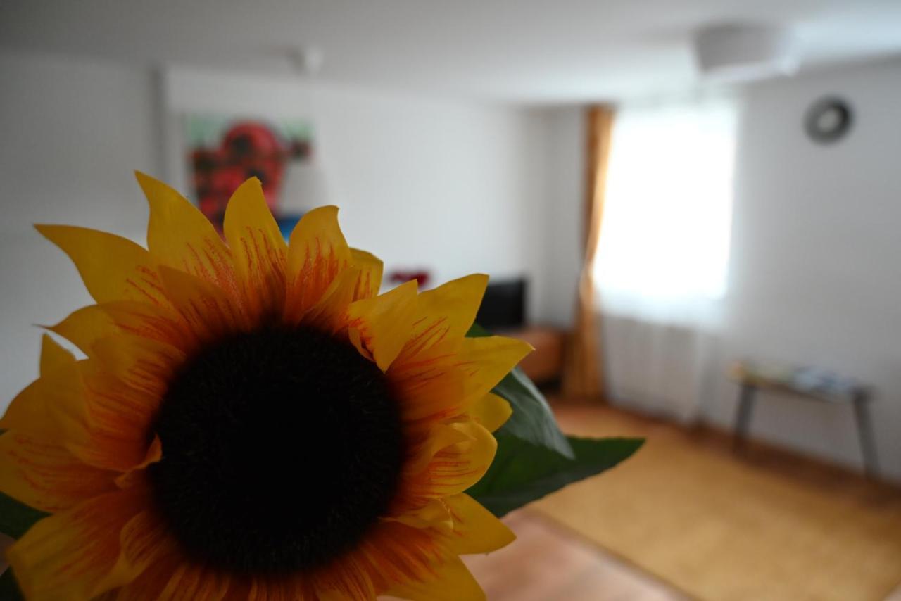 Krakovska Apartments Lubiana Esterno foto